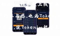  biaoti  Tokenim项目方介绍：全面解析其背景与发展