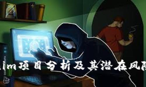 Tokenim项目分析及其潜在风险详解