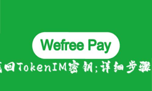 如何找回TokenIM密钥：详细步骤与指南