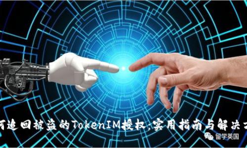 如何追回被盗的TokenIM授权：实用指南与解决方案