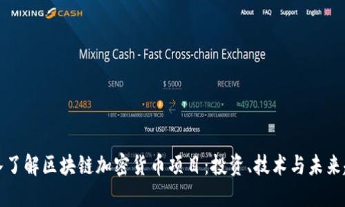 深入了解区块链加密货币项目：投资、技术与未来趋势