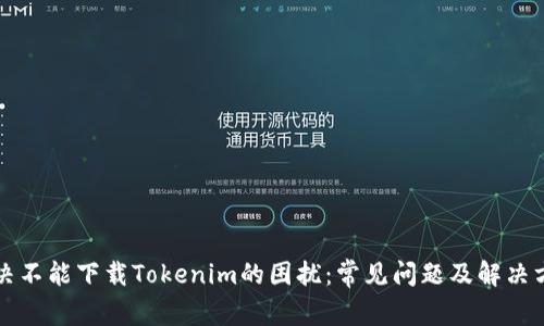 解决不能下载Tokenim的困扰：常见问题及解决方案