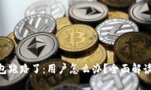 Tokenim钱包跑路了：用户怎么办？全面解读及解决方案