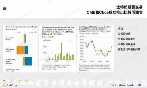 
2023年国内加密货币项目全景解析：趋势、机遇及挑战