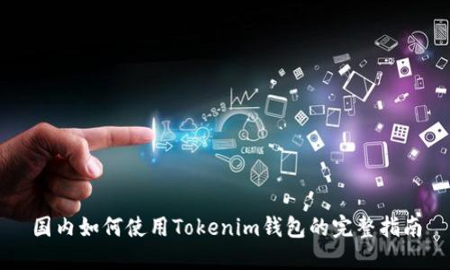 国内如何使用Tokenim钱包的完整指南