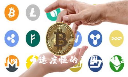 Tokenim提币速度慢的原因及解决方案