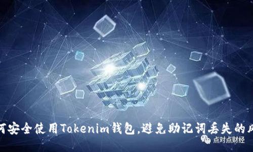 如何安全使用Tokenim钱包，避免助记词丢失的风险