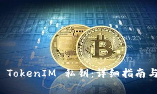 如何安全查看 TokenIM 私钥：详细指南与常见问题解答