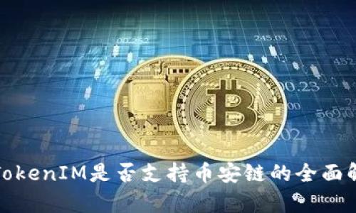 : TokenIM是否支持币安链的全面解析