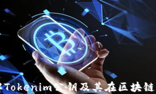 
深入理解Tokenim公钥及其在区块链中的应用