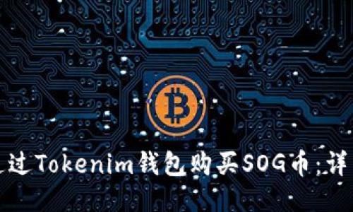 如何通过Tokenim钱包购买SOG币：详细指南