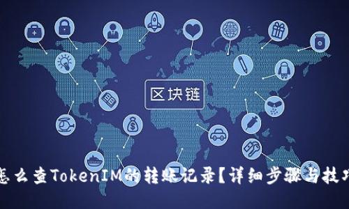 怎么查TokenIM的转账记录？详细步骤与技巧