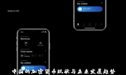 
中国的加密货币现状与未来发展趋势
