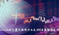 : Tokenim矿工费只能用什么支付？全面解析支付方