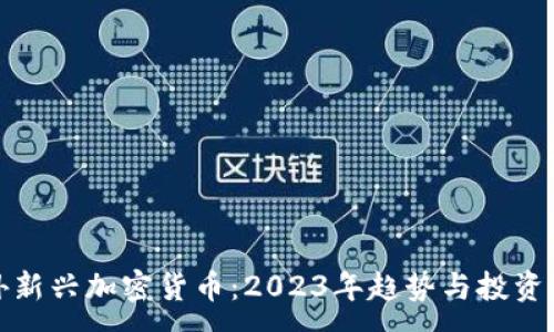 :
国外新兴加密货币：2023年趋势与投资机会