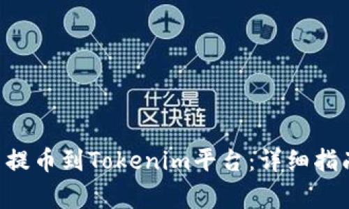 如何将RTX币提币到Tokenim平台：详细指南与注意事项