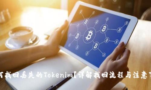 如何找回丢失的Tokenim？详解找回流程与注意事项