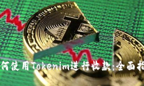 如何使用Tokenim进行收款：全面指南