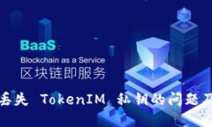 如何应对丢失 TokenIM 私钥的问题及解决方案