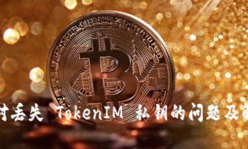 如何应对丢失 TokenIM 私钥的问题及解决方案