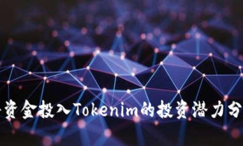 将资金投入Tokenim的投资潜力分析