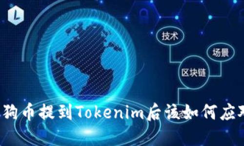 狗狗币提到Tokenim后该如何应对？