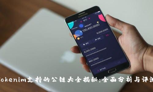 Tokenim支持的公链大全揭秘：全面分析与评测