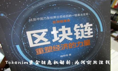 Tokenim资金链危机解析：为何突然没钱？