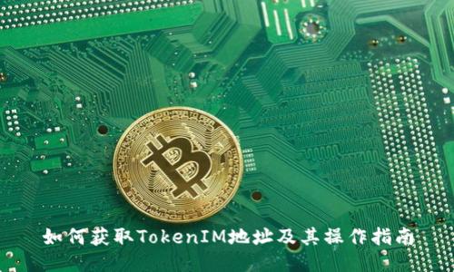 如何获取TokenIM地址及其操作指南