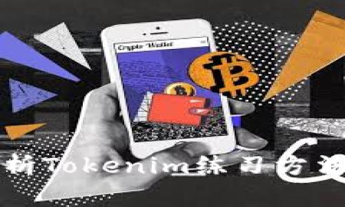 全面解析Tokenim练习方法与技巧