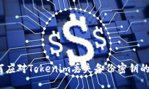 : 如何应对Tokenim丢失备份密钥的危机？