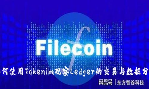 如何使用Tokenim观察Ledger的交易与数据分析