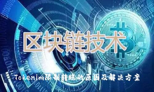 Tokenim限制转账的原因及解决方案