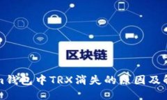 Tokenim钱包中TRX消失的原因及解决方法