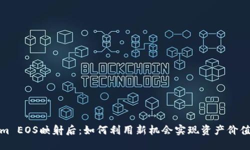 Tokenim EOS映射后：如何利用新机会实现资产价值最大化