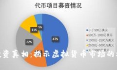 加密货币投资真相：揭示虚拟货币市场的机遇与