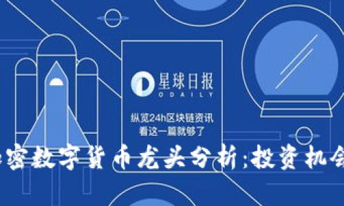 2023年度加密数字货币龙头分析：投资机会与风险评估