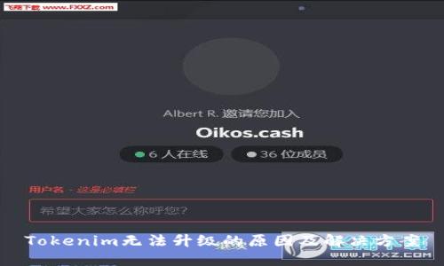 Tokenim无法升级的原因及解决方案