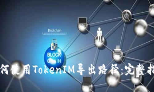 如何使用TokenIM导出路径：完整指南