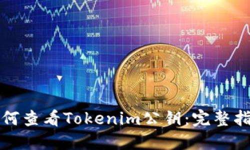 如何查看Tokenim公钥：完整指南