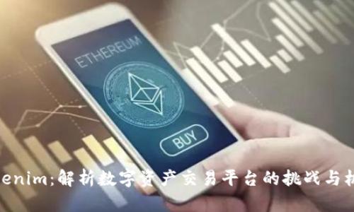 Tokenim：解析数字资产交易平台的挑战与机遇