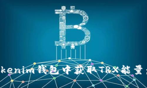 如何在Tokenim钱包中获取TRX能量：全面指南