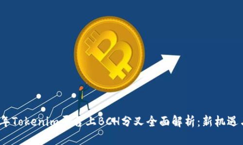 2023年Tokenim平台上BCH分叉全面解析：新机遇与挑战