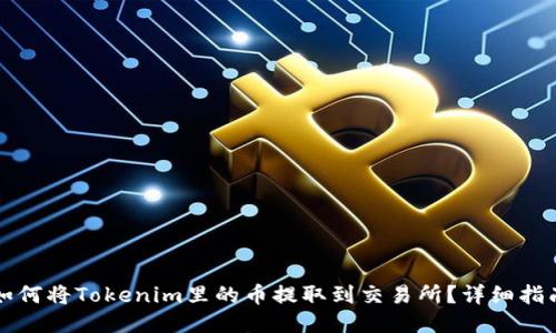 如何将Tokenim里的币提取到交易所？详细指南