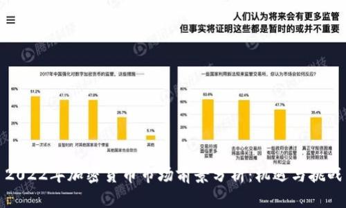 2022年加密货币市场前景分析：机遇与挑战