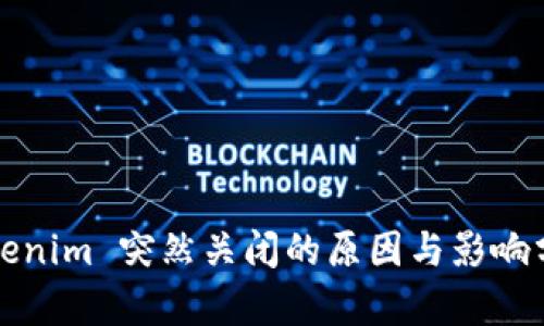 Tokenim 突然关闭的原因与影响分析