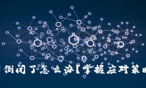 Tokenim公司倒闭了怎么办？掌握应对策略与后续步骤