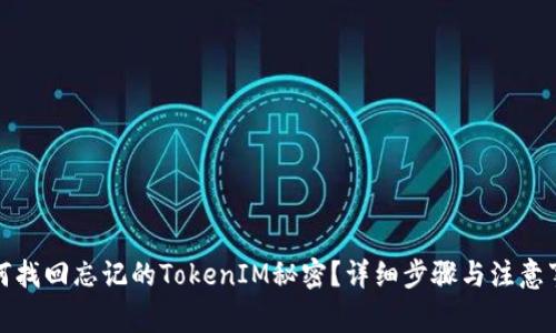 如何找回忘记的TokenIM秘密？详细步骤与注意事项