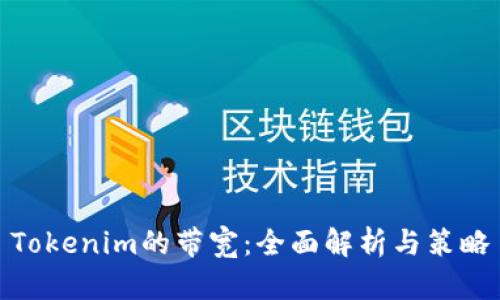 Tokenim的带宽：全面解析与策略