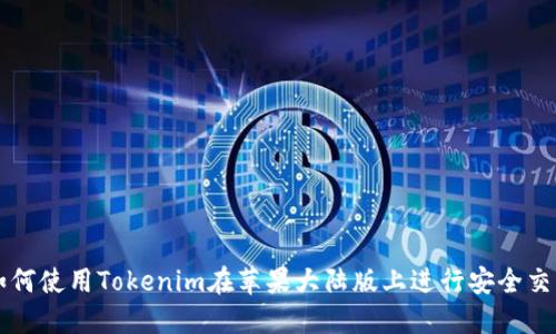 如何使用Tokenim在苹果大陆版上进行安全交易